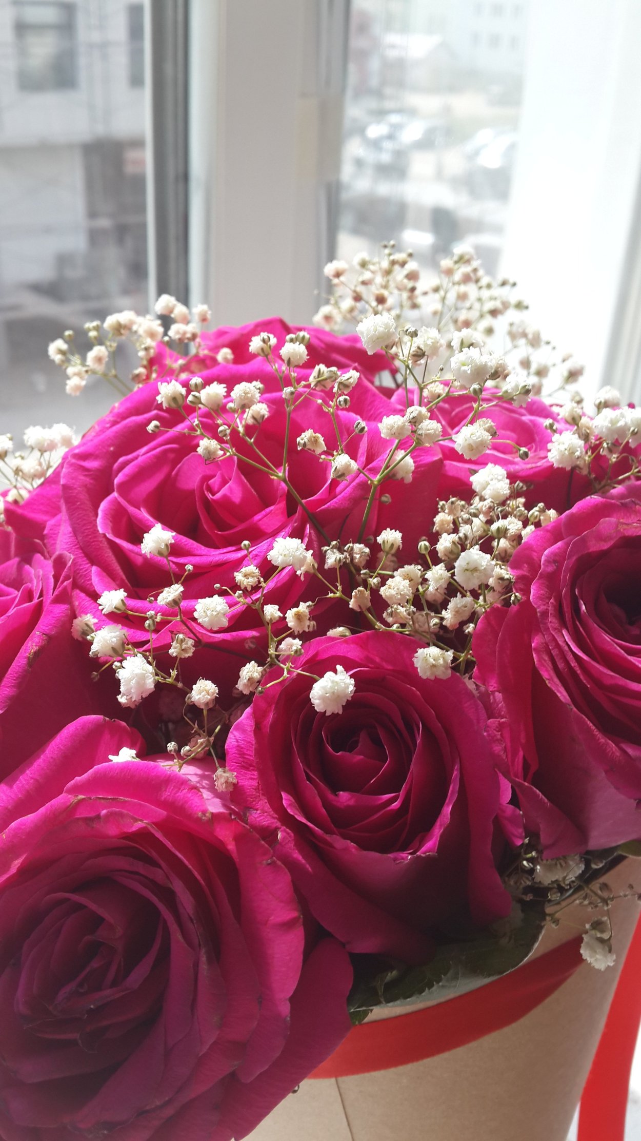 Красивый букет роз на солнце