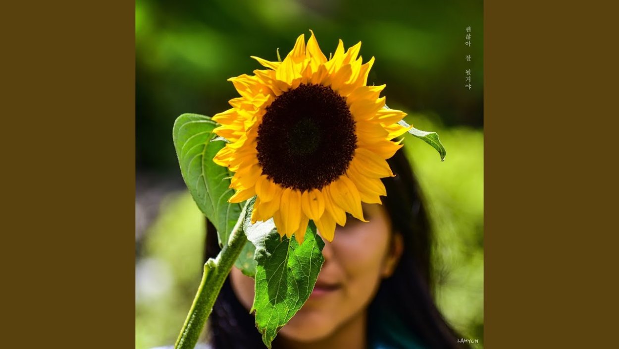 Подсолнечник Лакомка