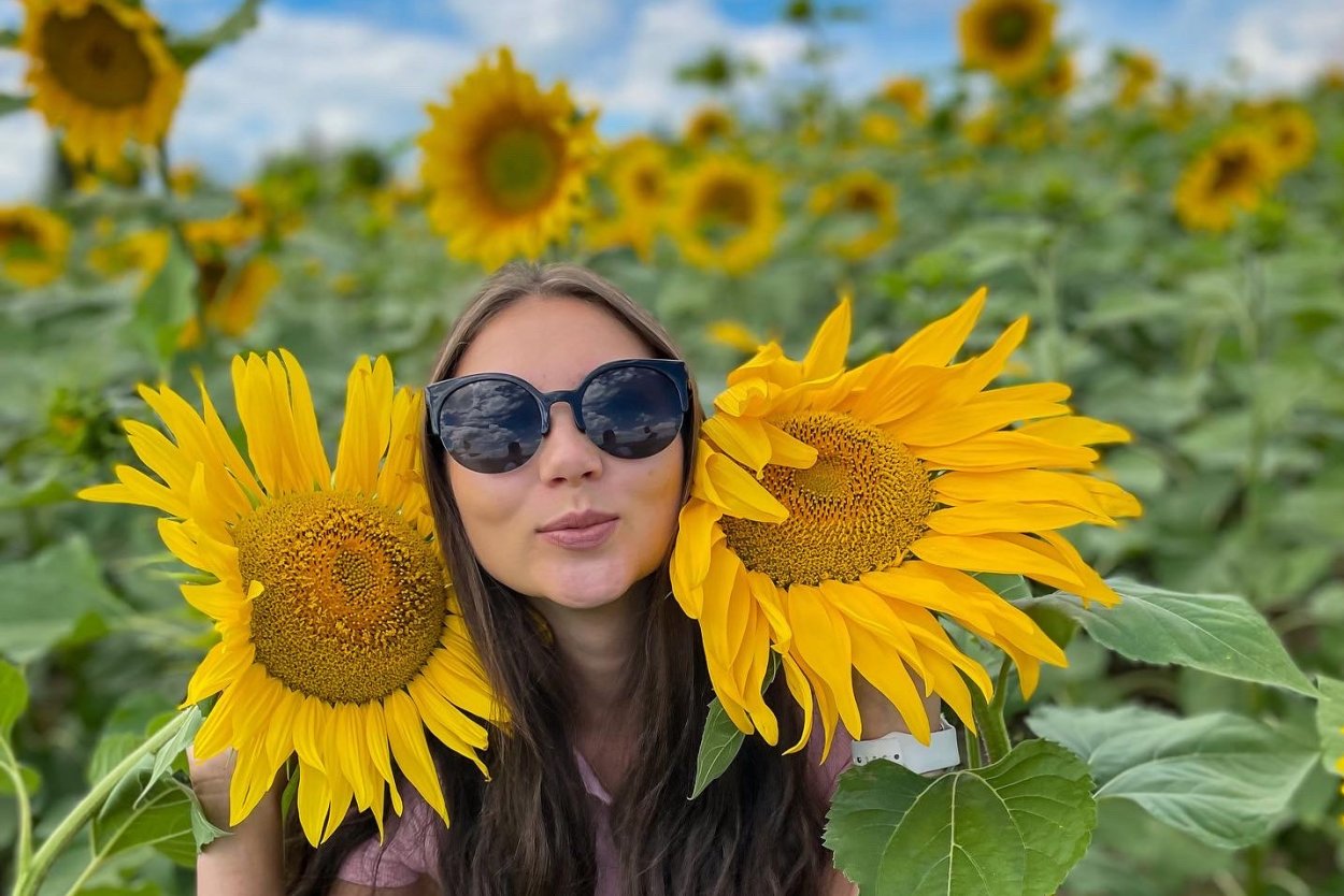 Подсолнухи ночью