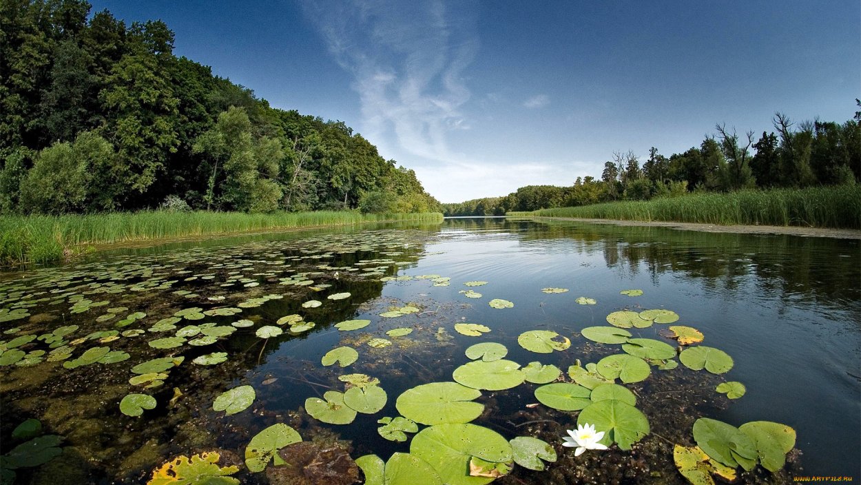 Природный заповедник Воронинский Тамбовская область