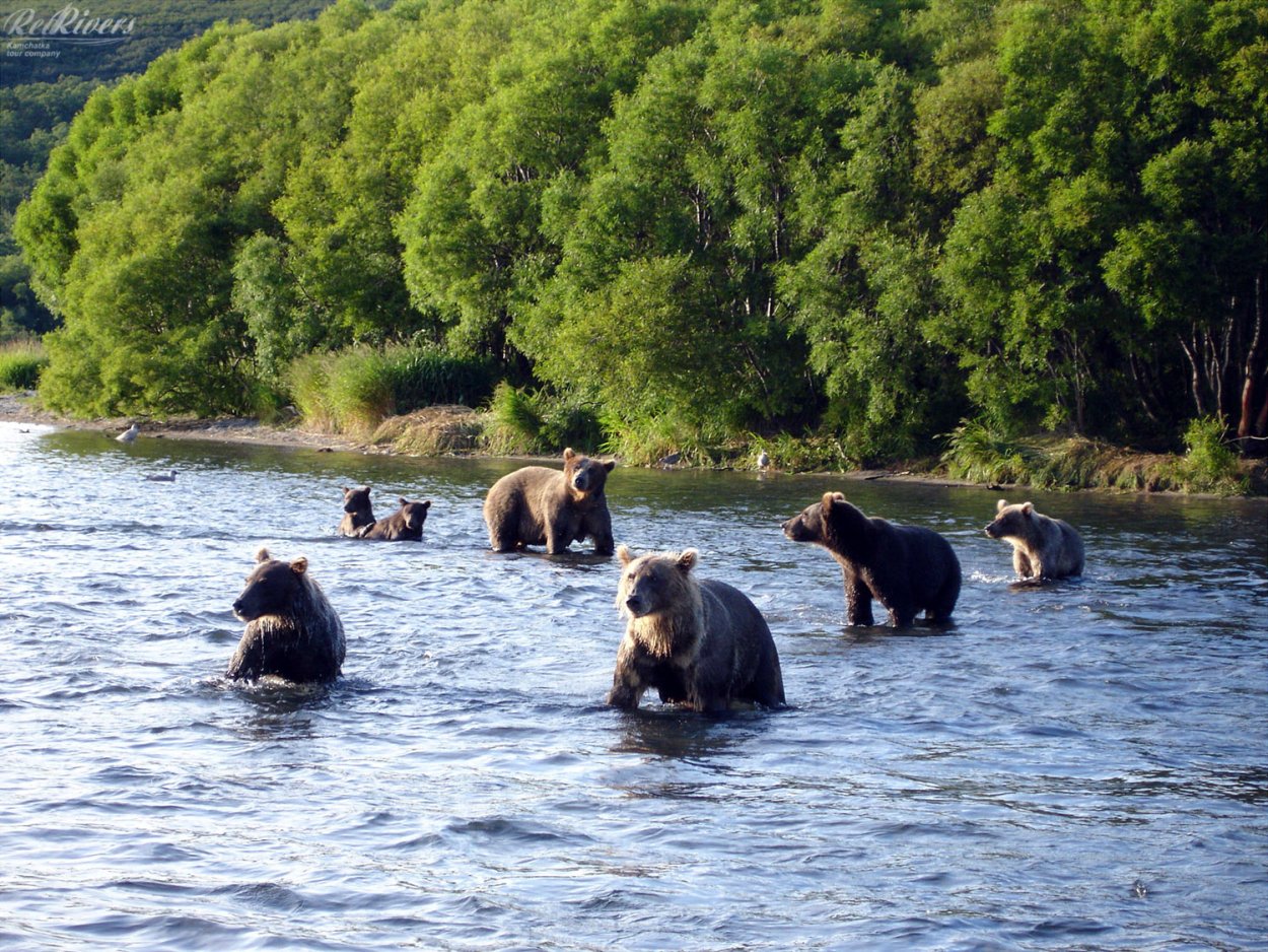 Река Тымь Сахалин