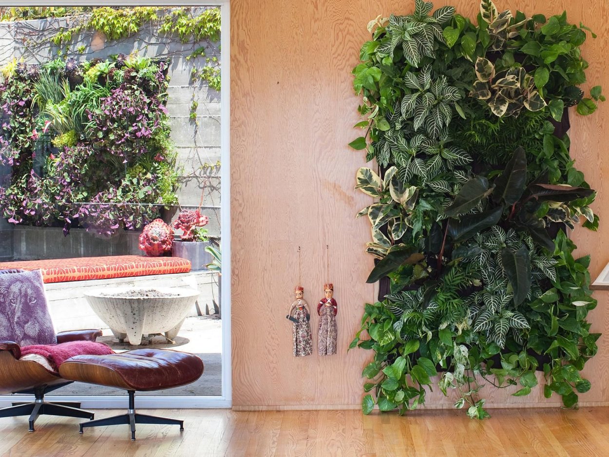 Вертикальный сад в квартире