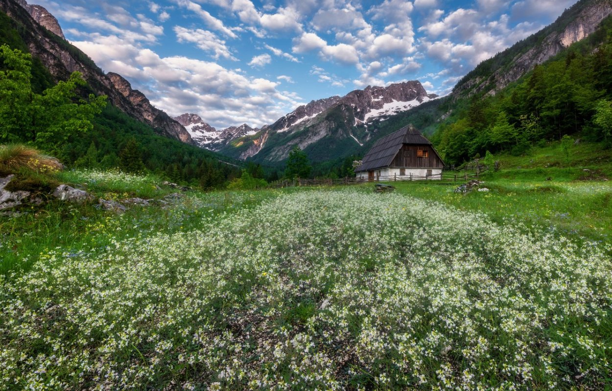 Альпийские Луга Альпы