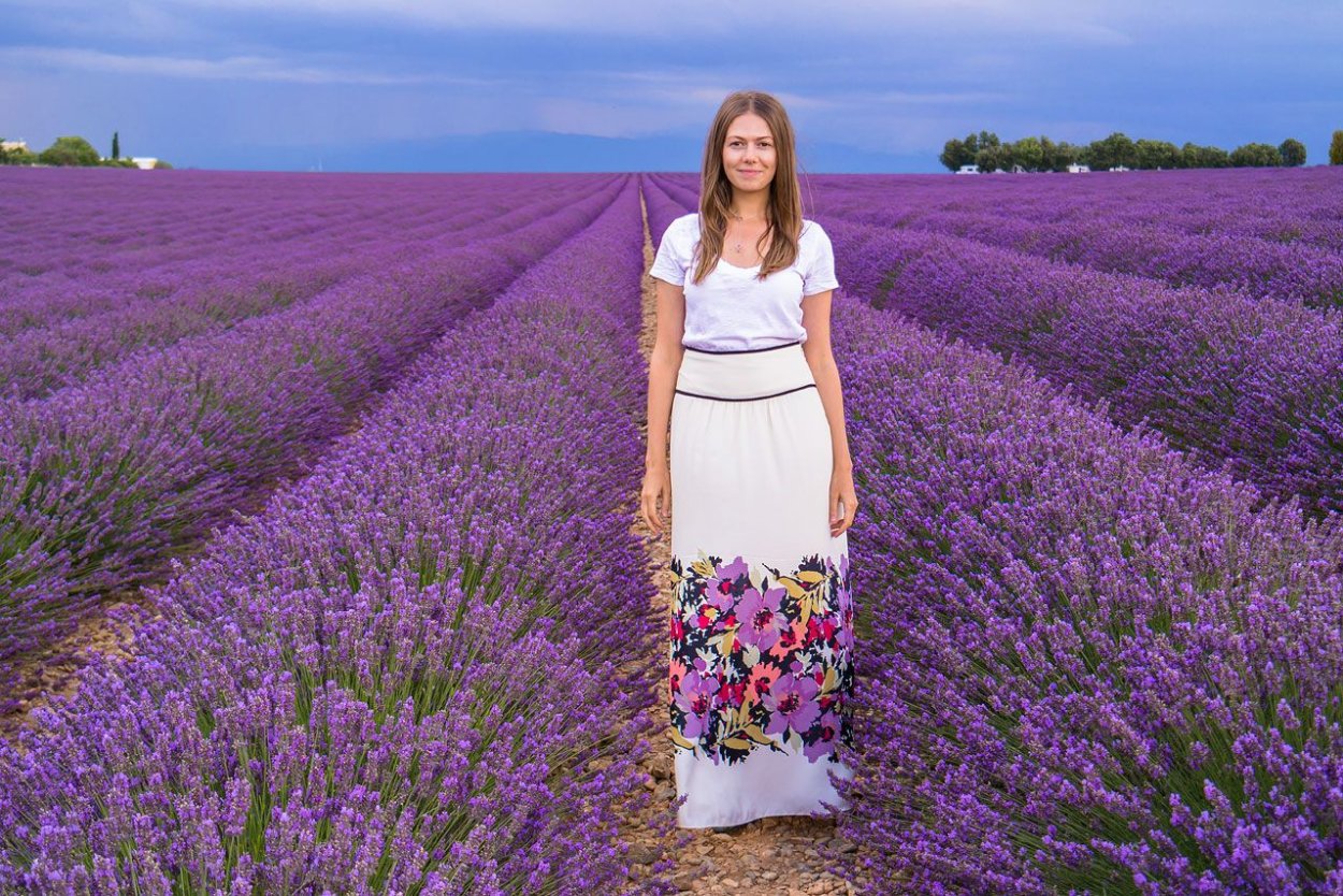 Семена чиа растение