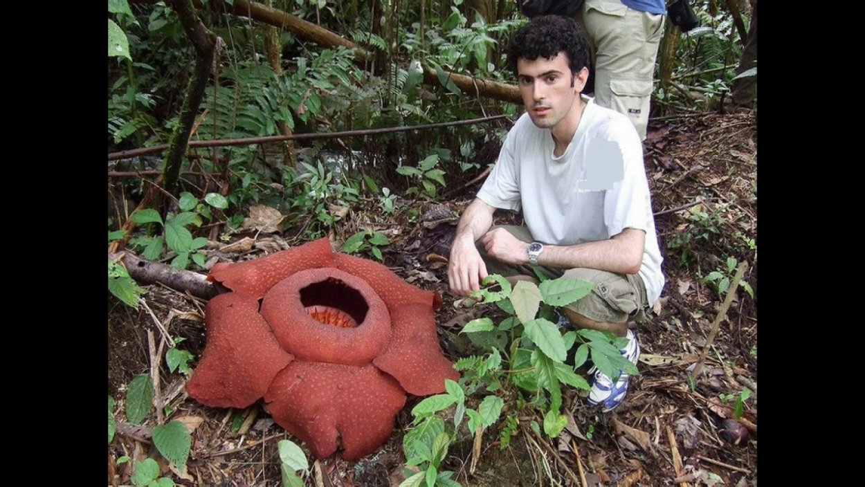 Самые страшные растения в мире