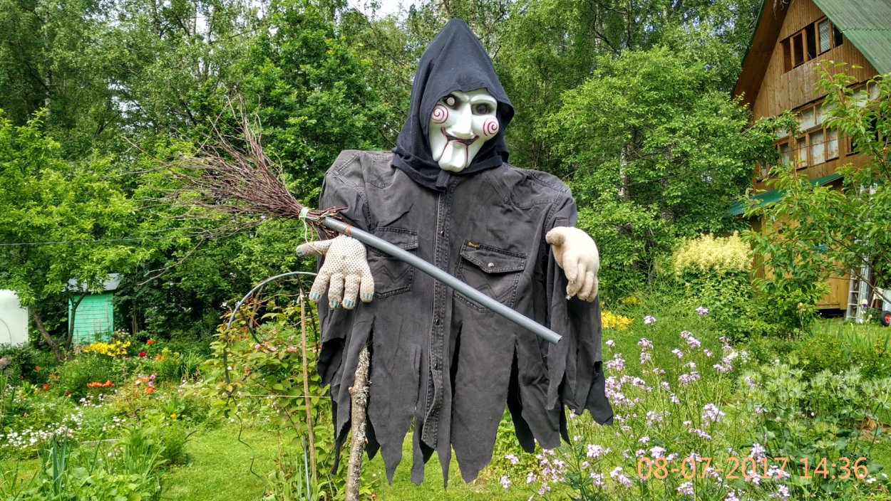 Семейство Раффлезиевые