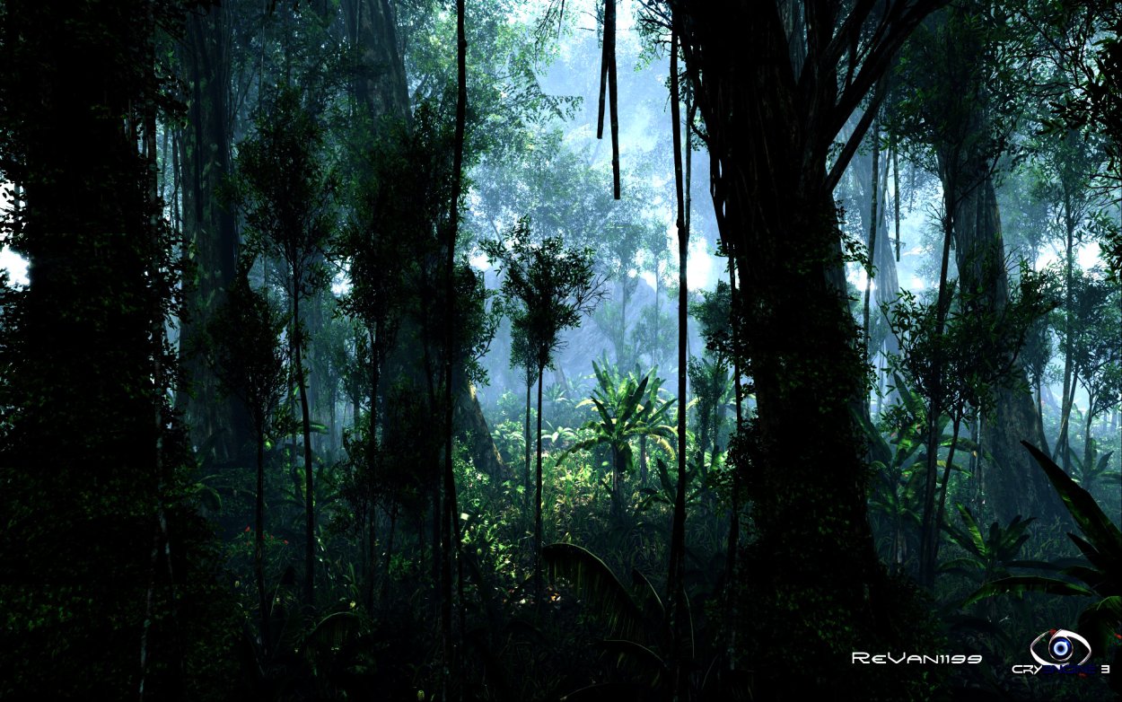 Тропические леса амазонки в Бразилии