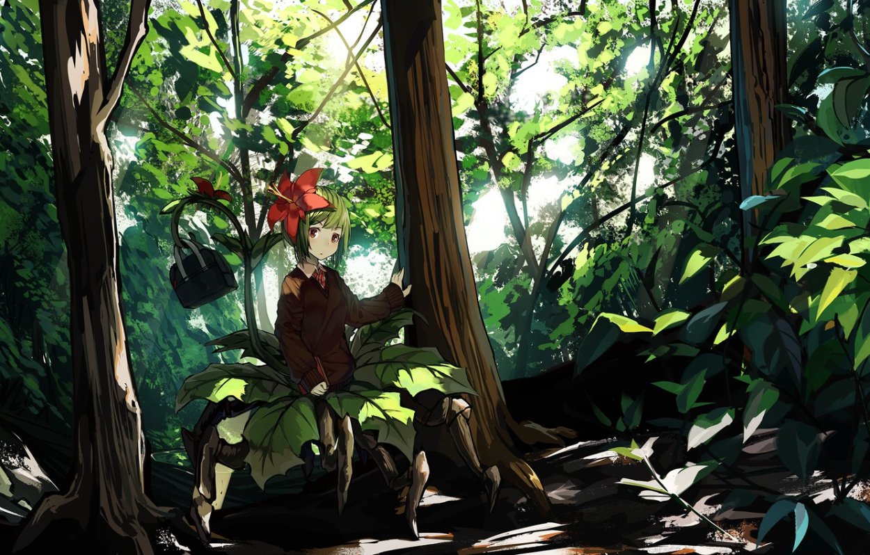 Лиановидные папоротники