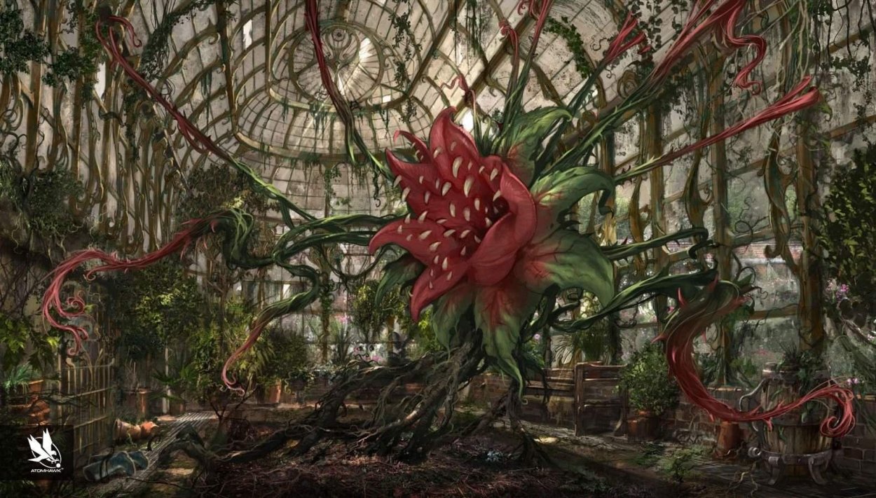 Влажные экваториальные леса Африки ящерицы