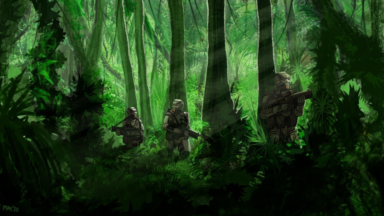 Муссонные тропические леса