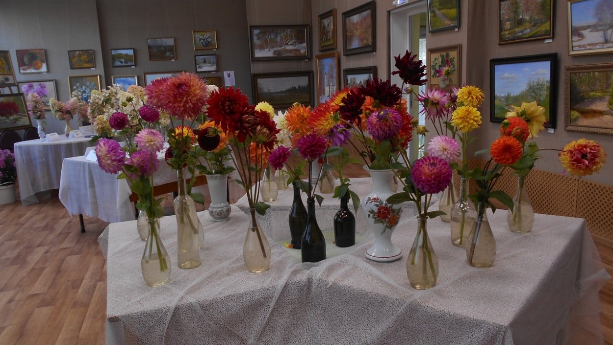 Выставка цветов в Великом Новгороде