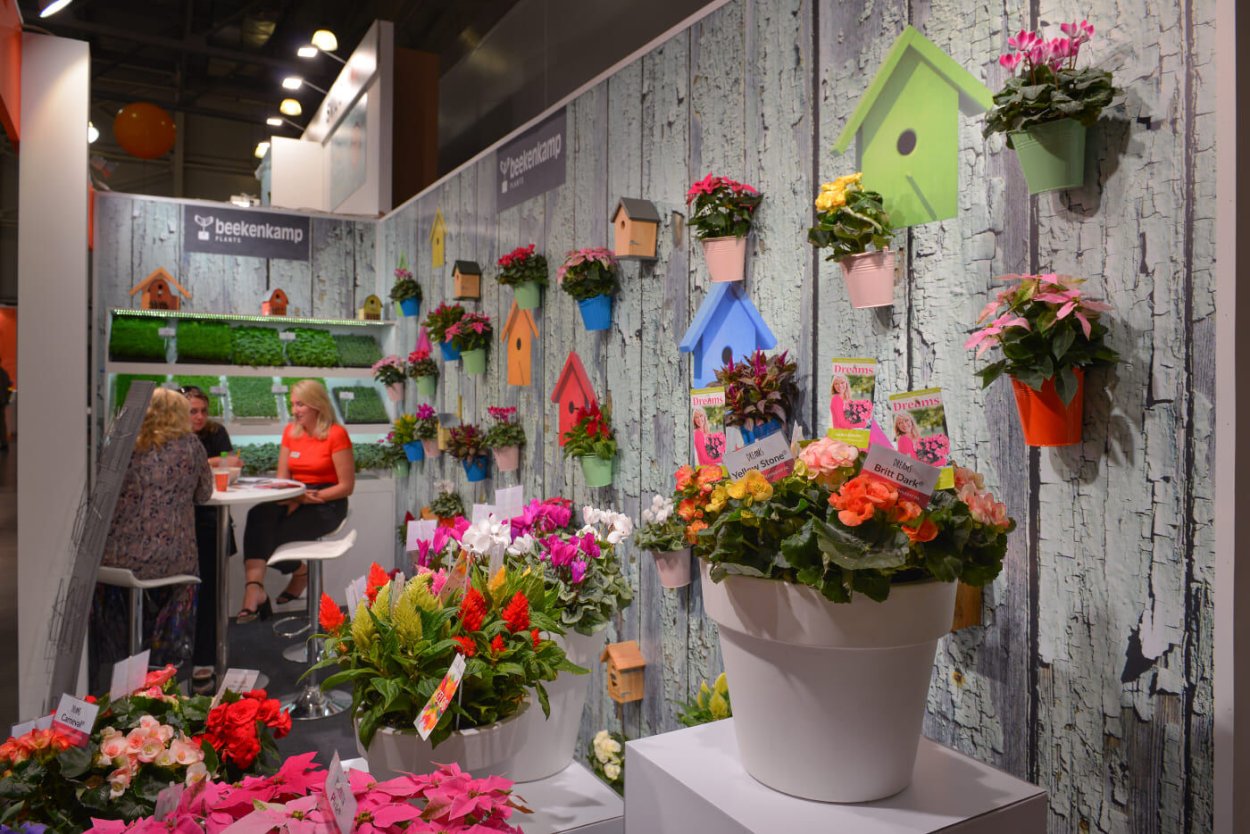 Цветы Экспо 2021