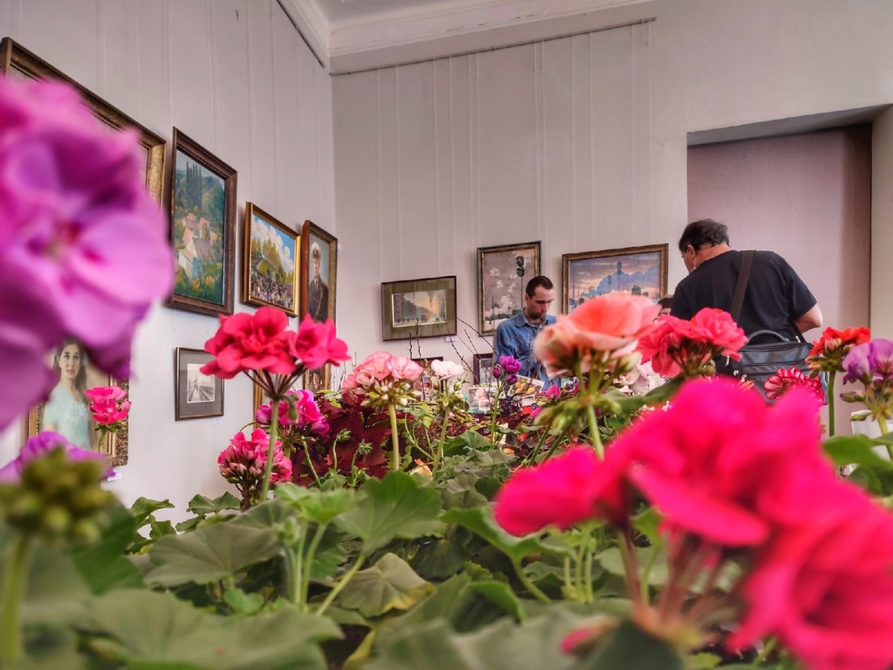 Фестиваль цветов в Челси Chelsea Flower show