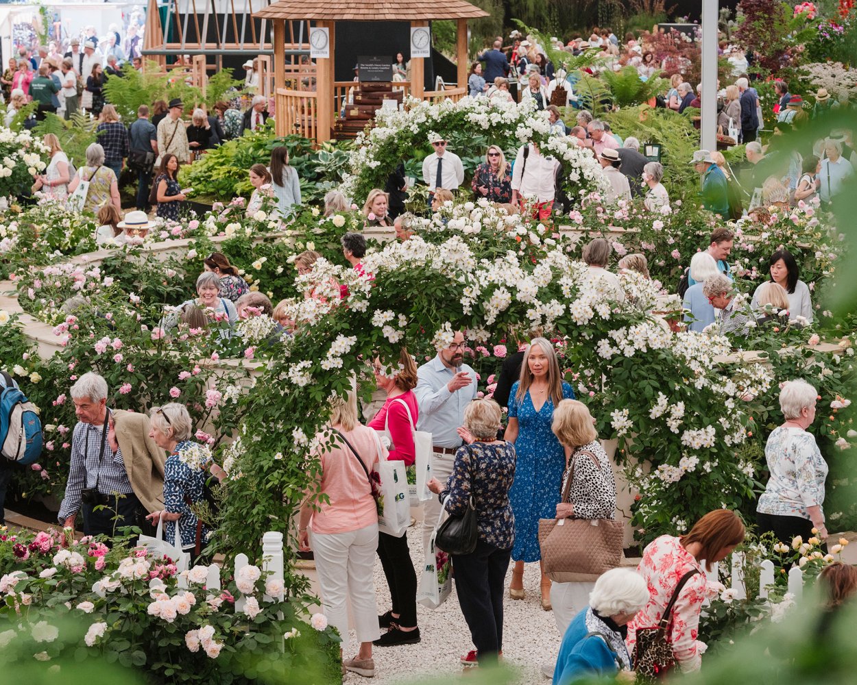 Выставка садов Челси Великобритания