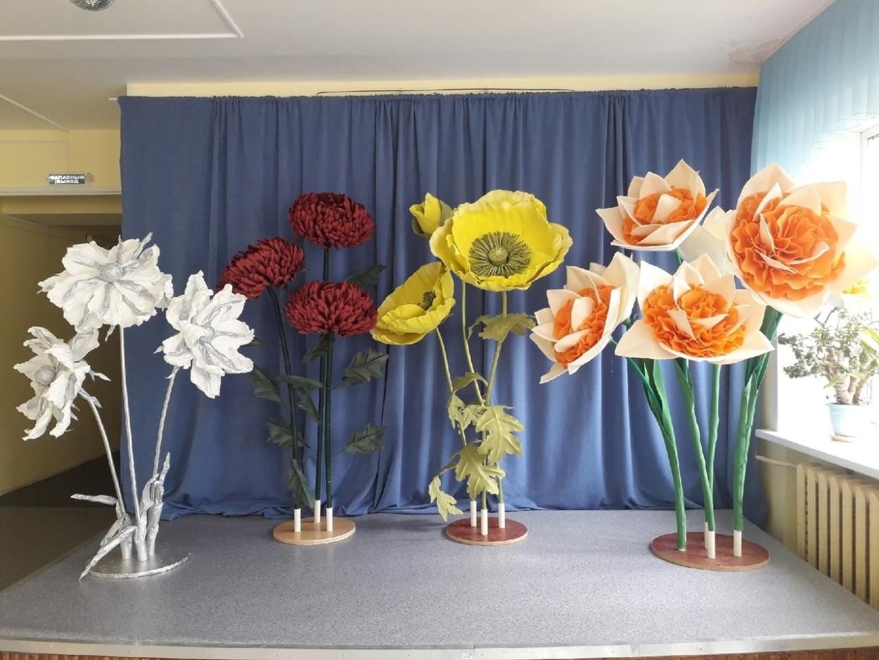 Аптекарский огород выставки