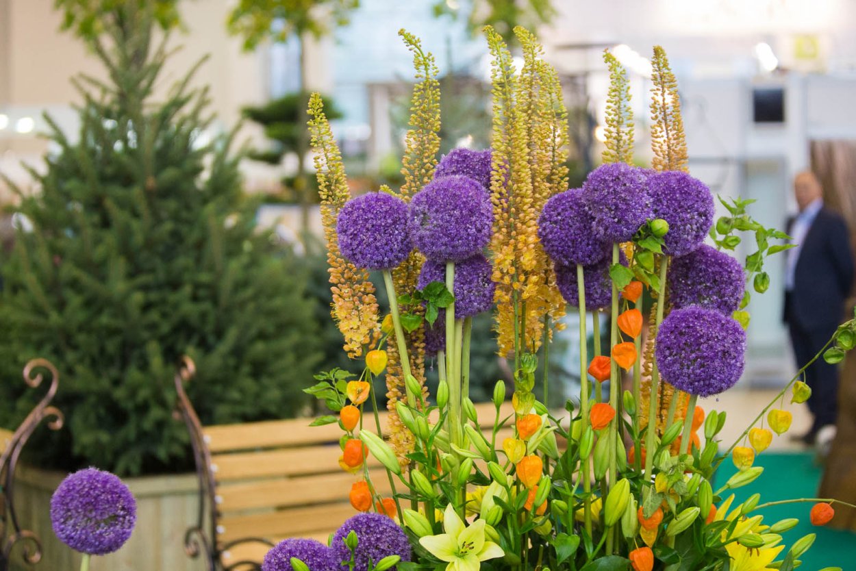 Ярмарка цветов и плодов