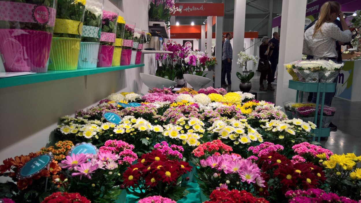 Выставочный стенд с растениями