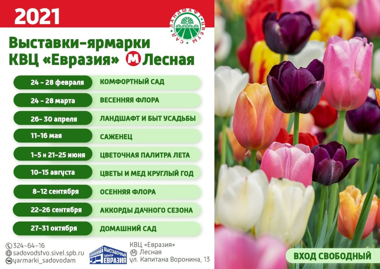 Фестиваль цветов в Санкт-Петербурге 2019