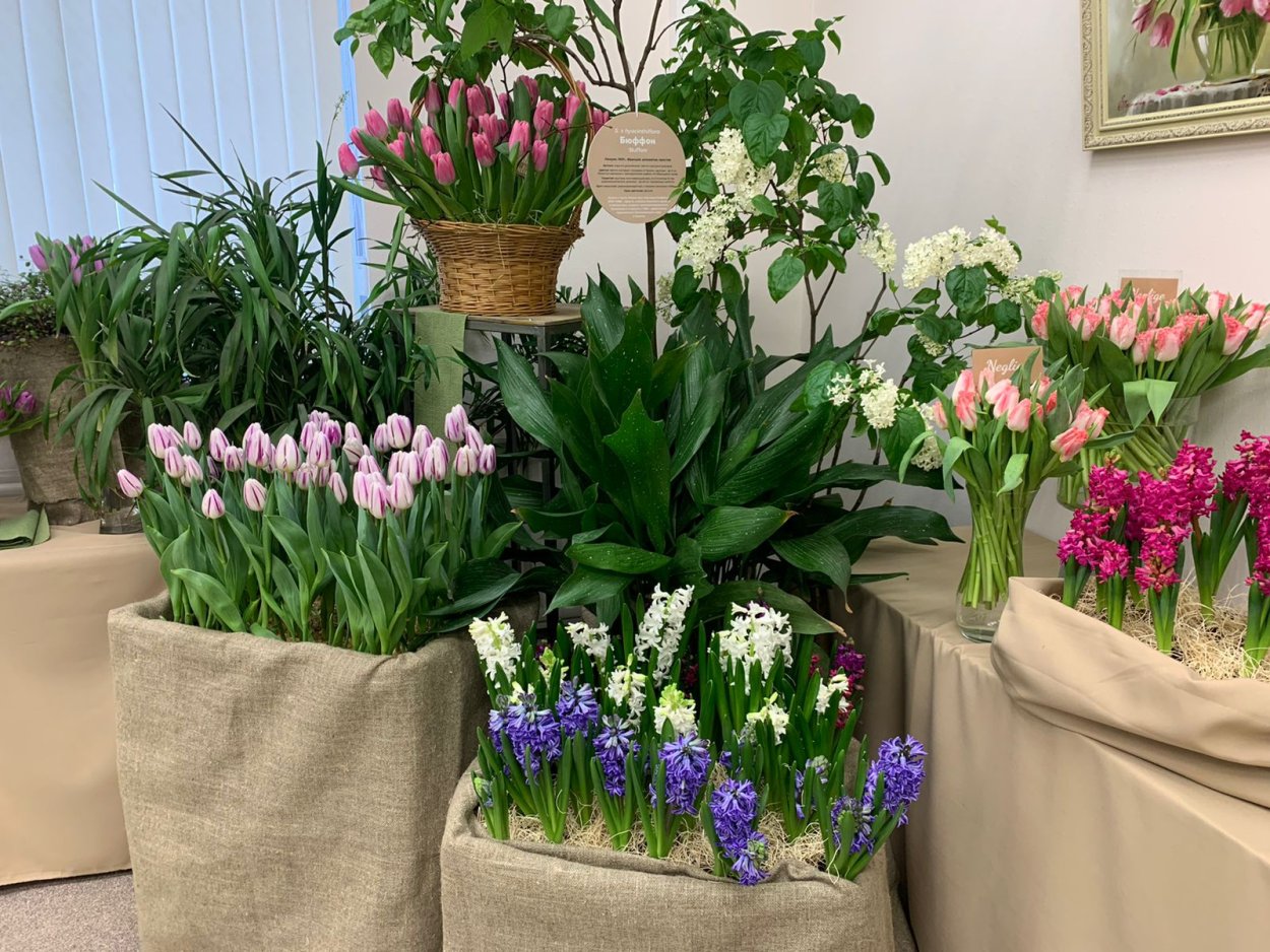 Флористические выставки 2022