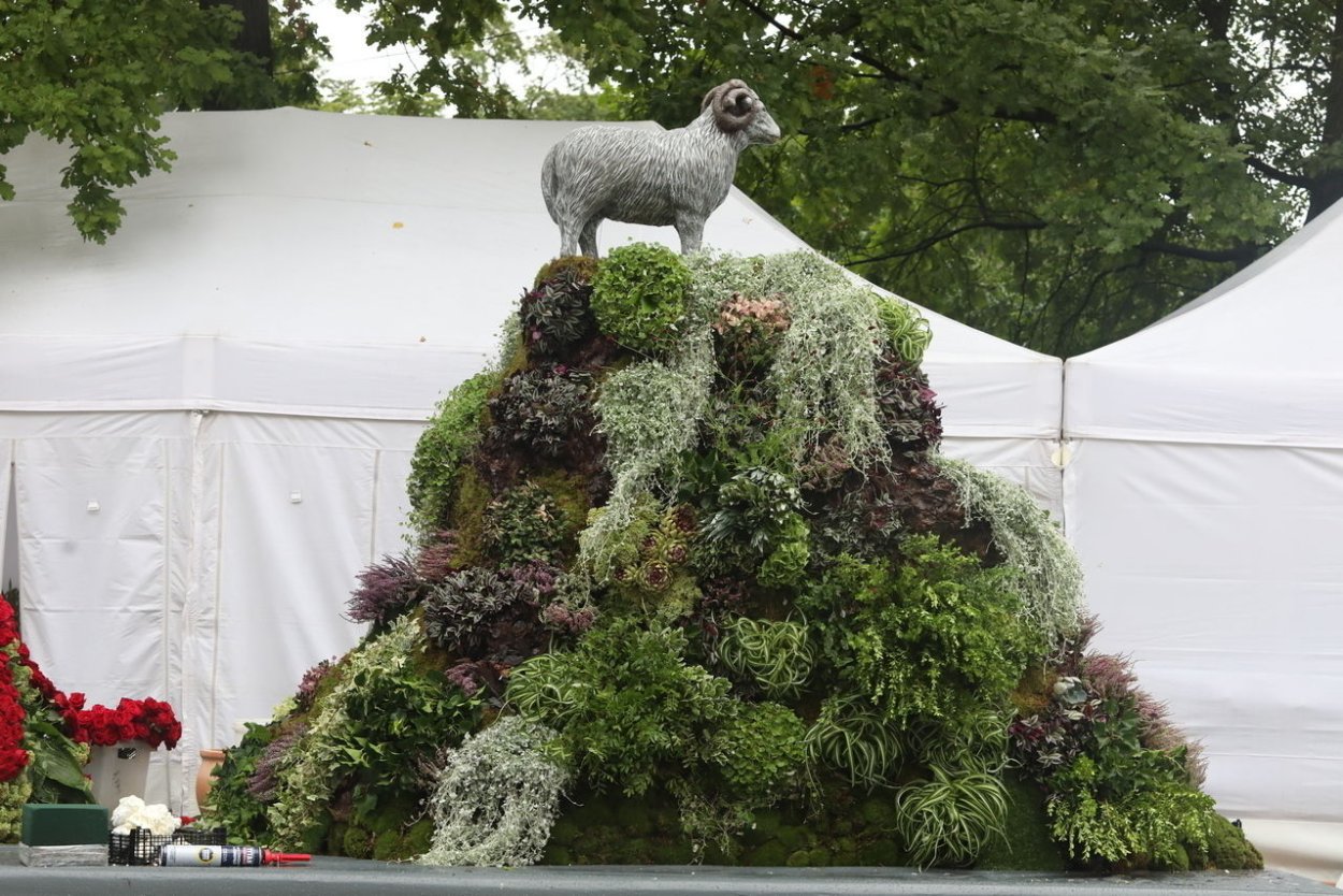 Мари Бозон флорист