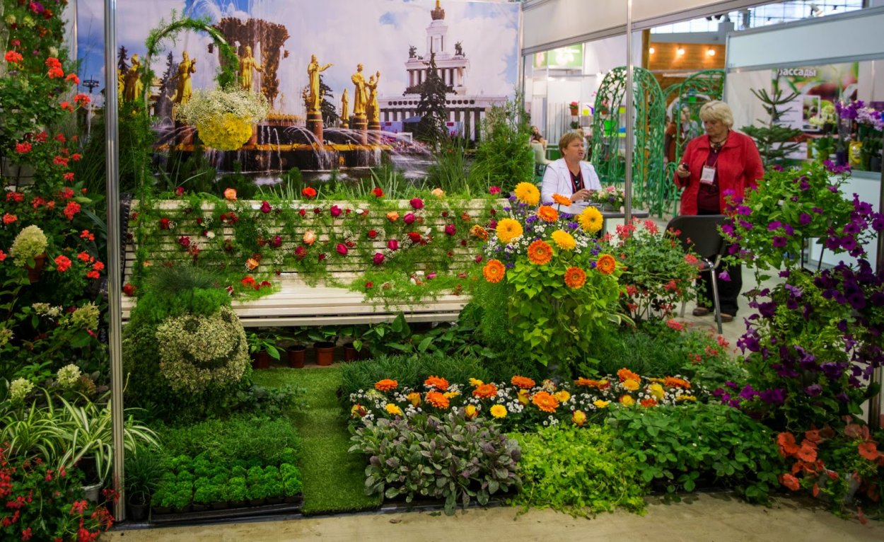 Выставка цветов