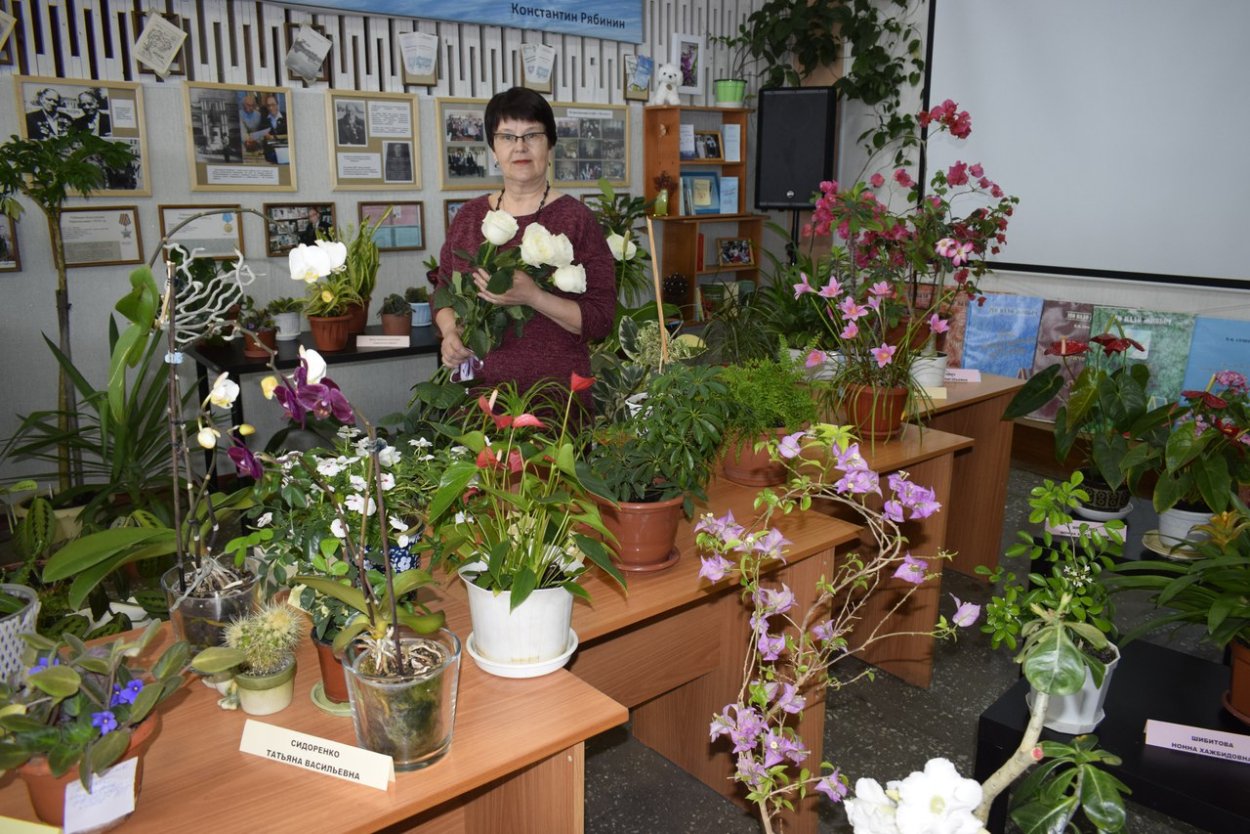 Экспозиция из цветов