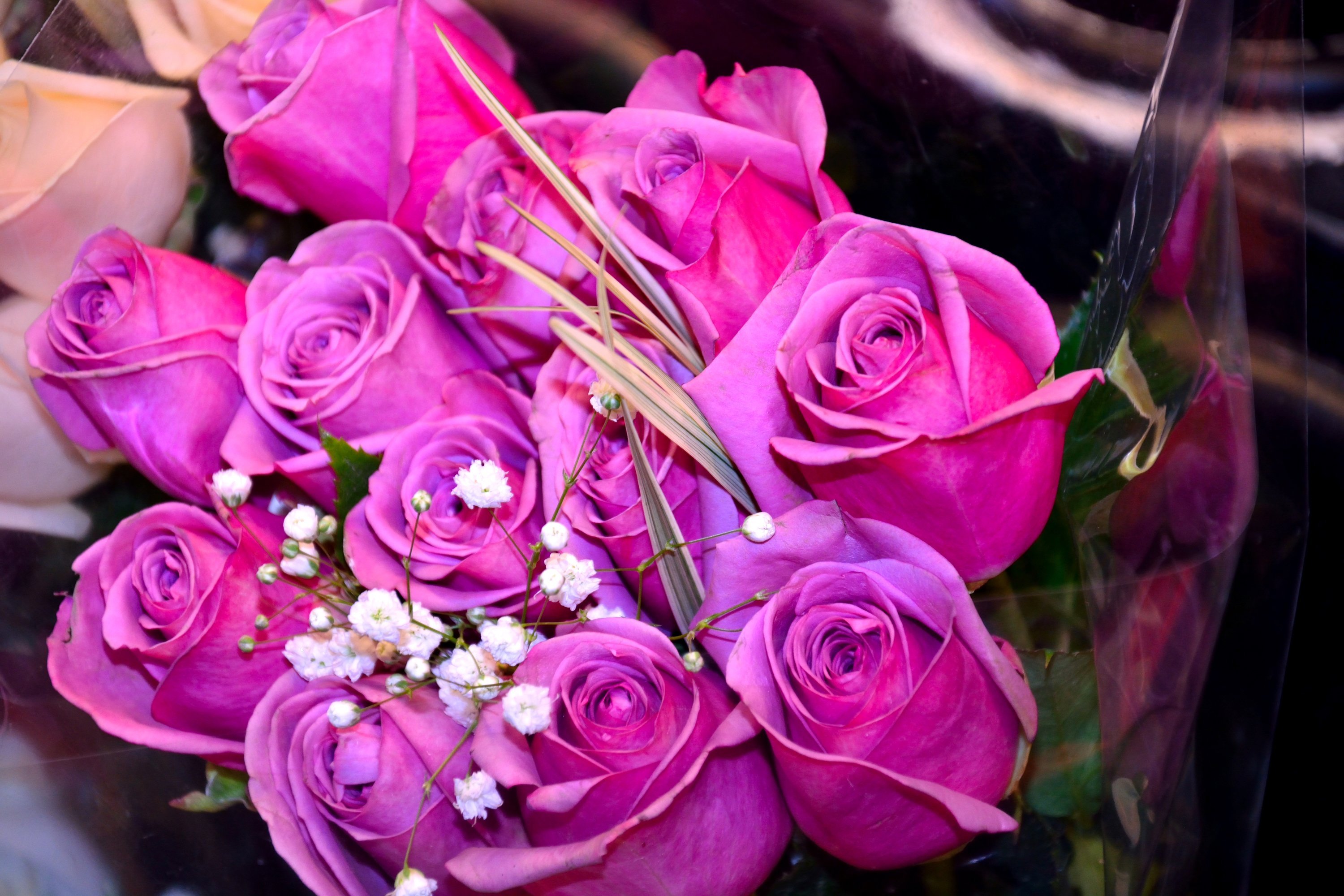 Фото букета на телефон. Красивый букет. Шикарные цветы. Цветы букеты шикарные. Красивые шикарные букетов цветов.