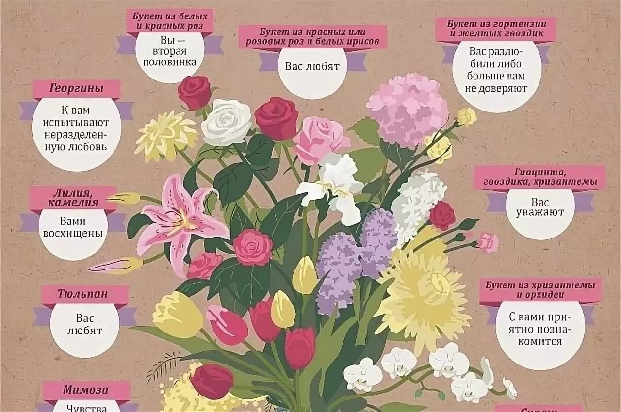 Bouquet перевод