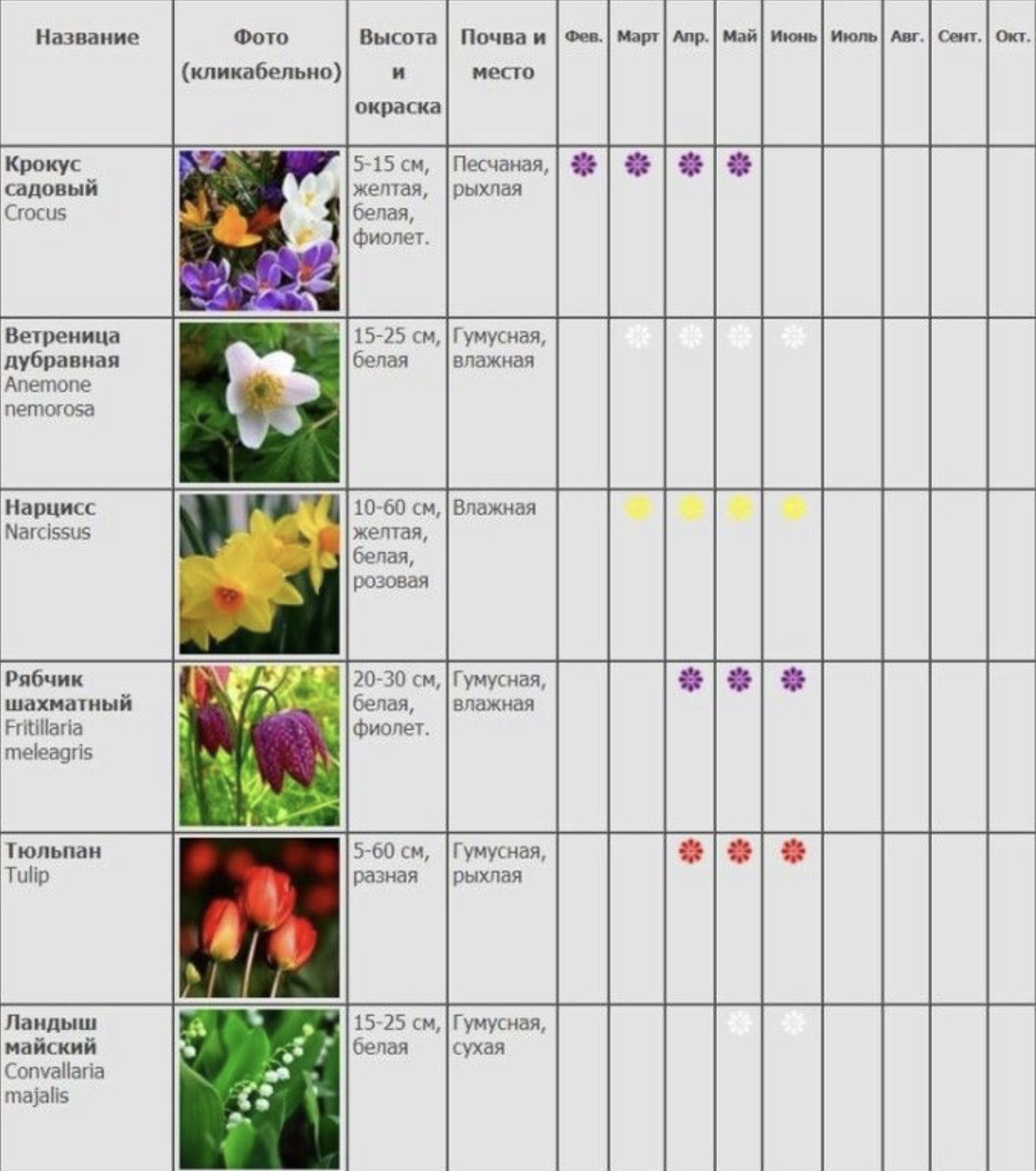 Виды цветов таблица. Цветение многолетников по месяцам. Таблица цветения многолетников. Сроки цветения лилейников таблица. Таблица сроков цветения многолетников.