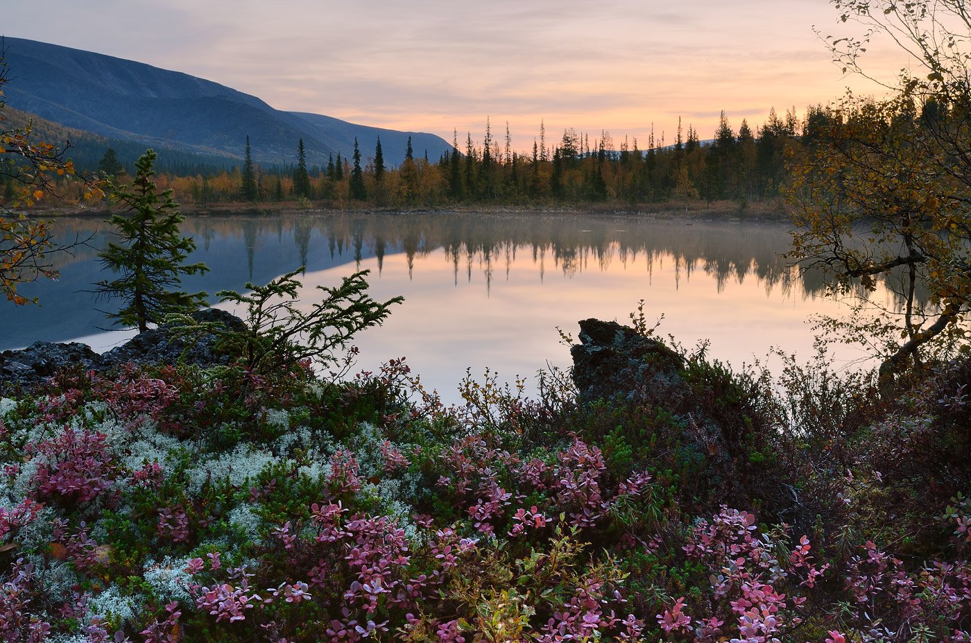 Russian north. Мурманск природа Кольский полуостров. Северная природа Кольский полуостров. Хибины Кольский полуостров. Север Кольского полуострова.