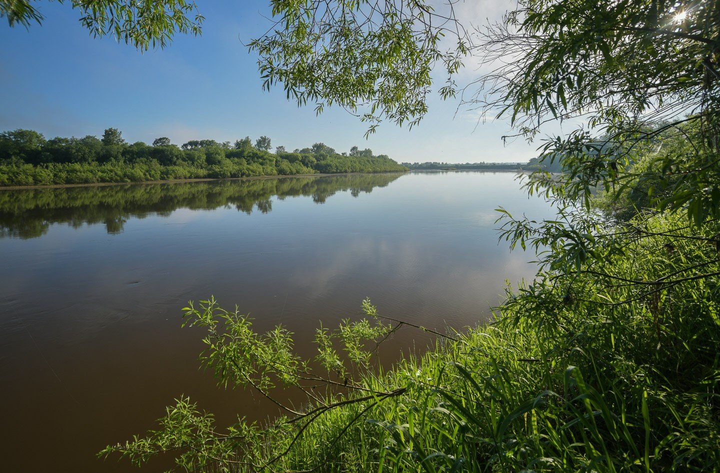 Река Чепца в Удмуртии