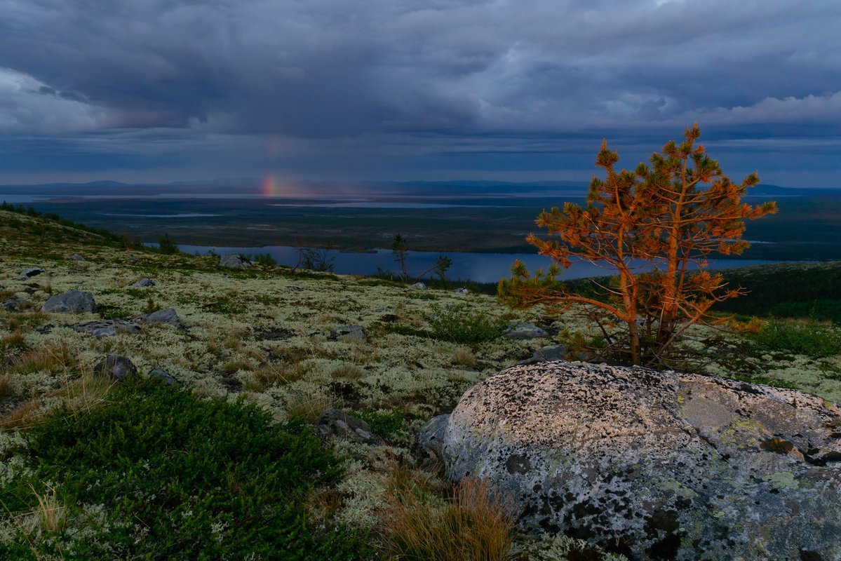 Лапландия Кольский полуостров