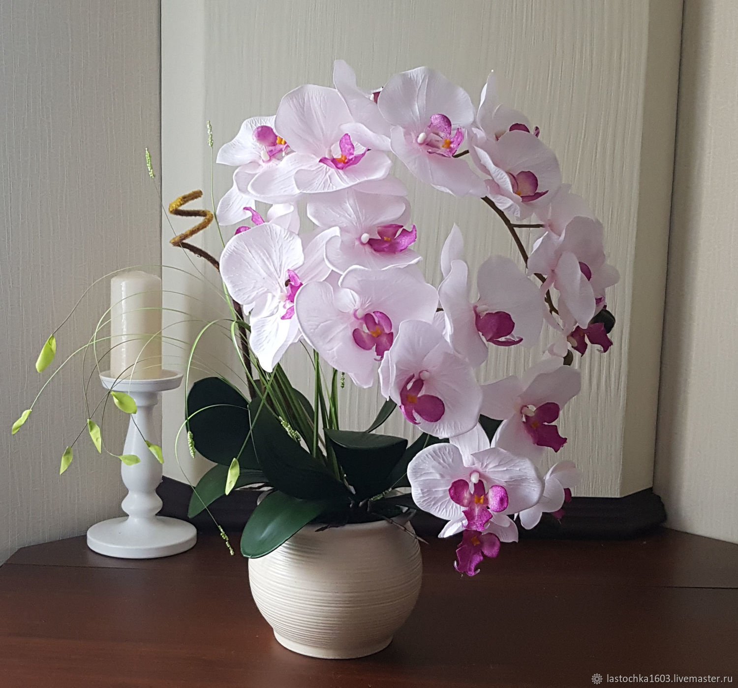 Живые орхидеи недорого