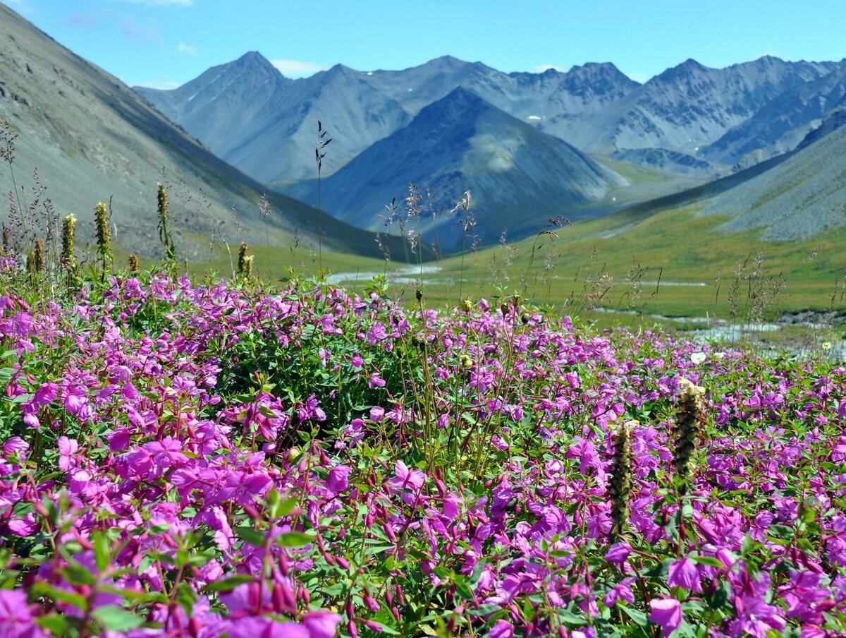 Национальный парк горного Алтая