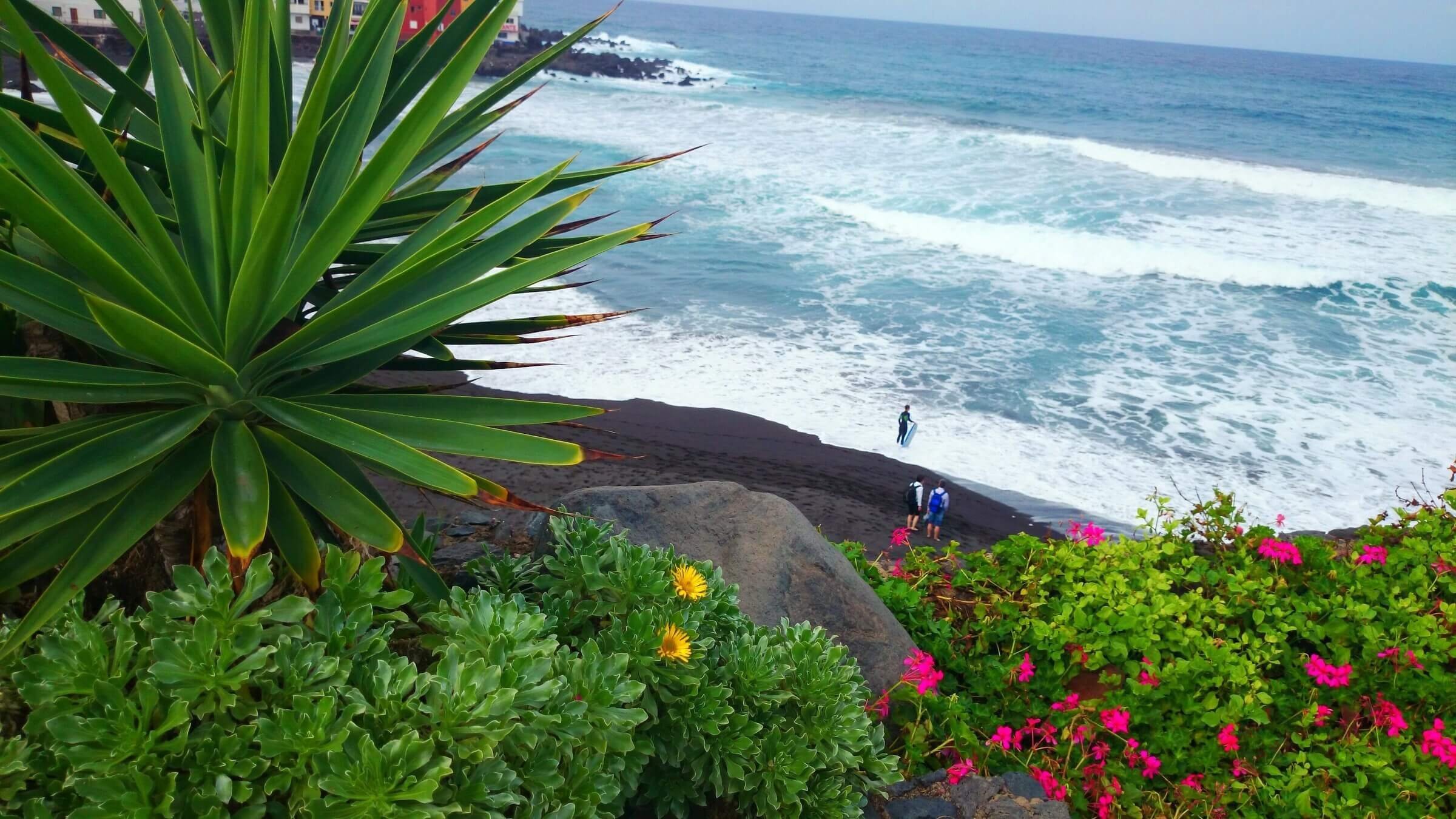 Канарские острова Tenerife