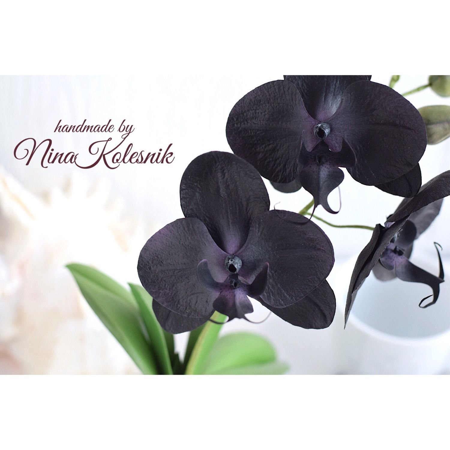 Вера в существование черной орхидеи