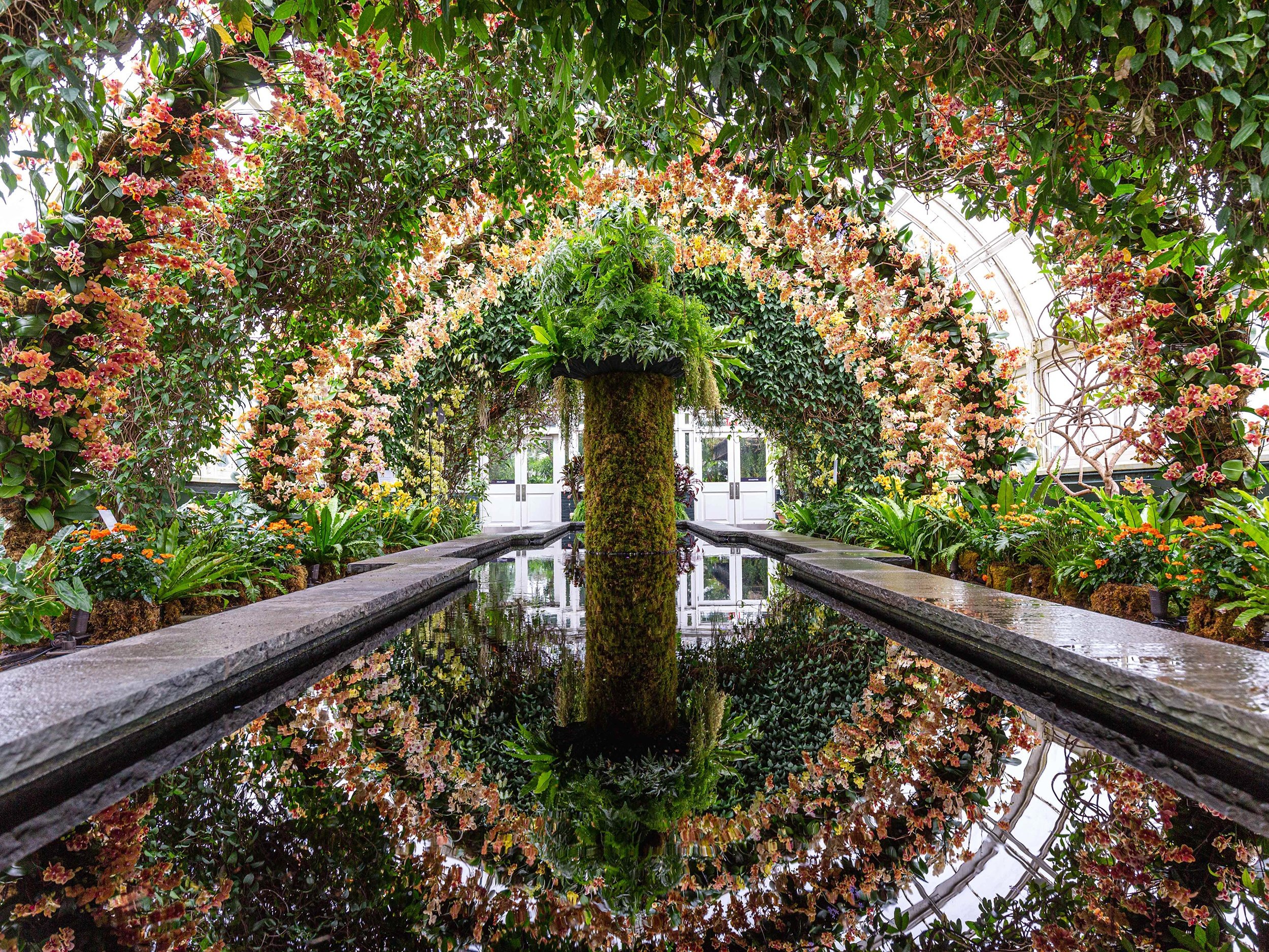 Garden of life. Бруклинский Ботанический сад, США, Нью-Йорк. Бруклинский Ботанический сад. Нью Йорк Ботанический сад Бронкс. Брукленскийбрукленский Ботанический сад оранжерея.