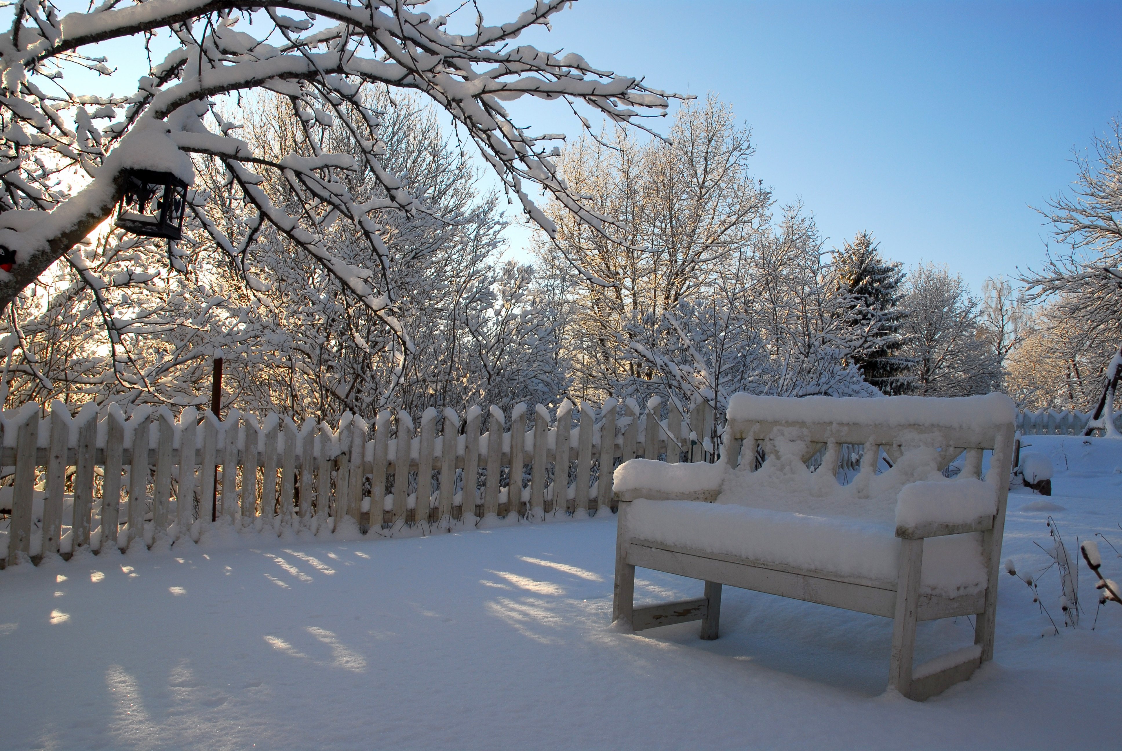 Снегом укрыты дома. Сад зимой. Зима двор. Заснеженный сад. Зима в саду.