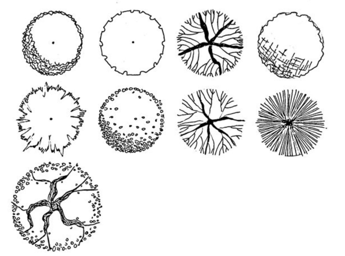 Деревья для плана вид сверху