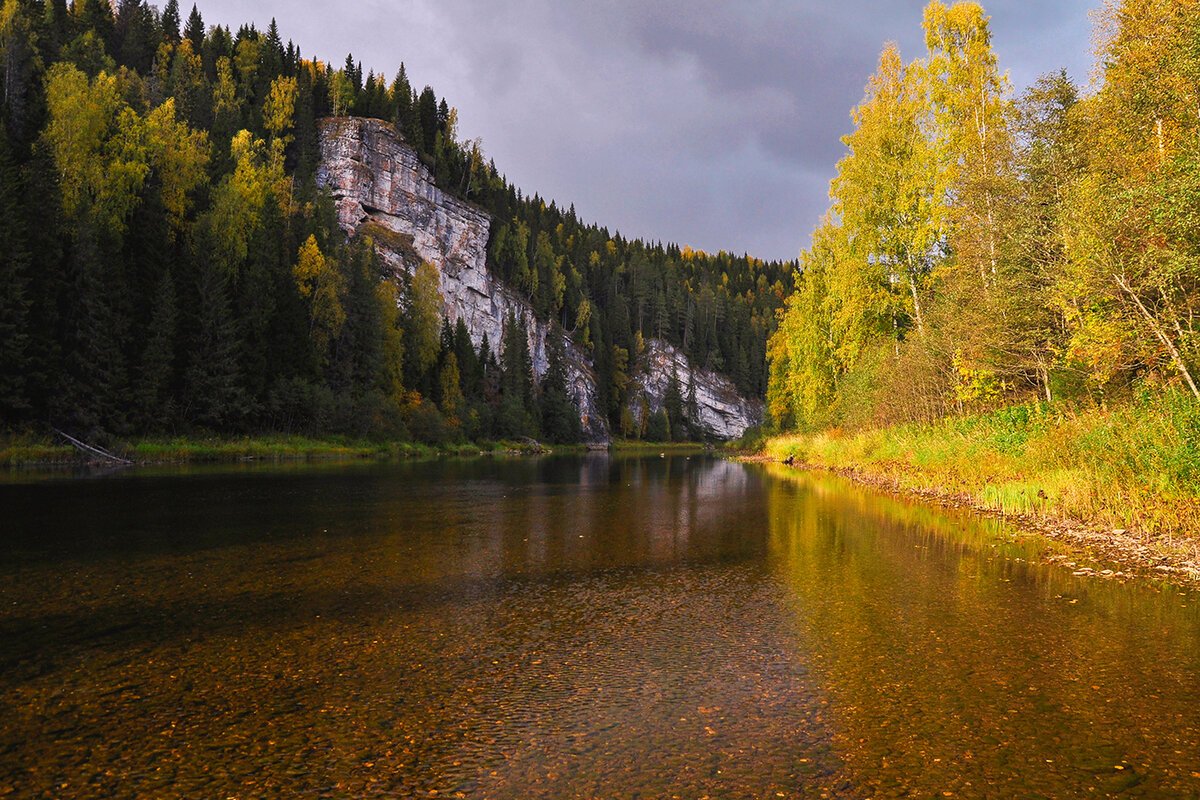 Деревья южного урала