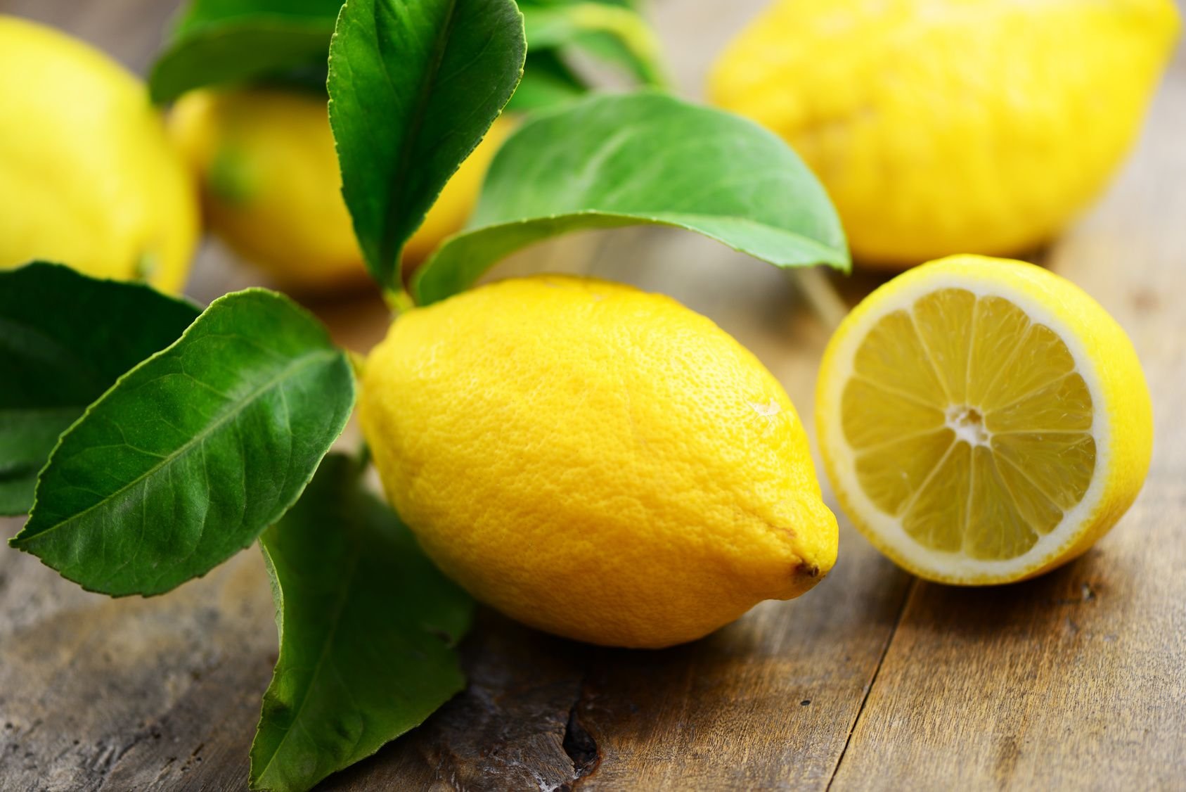 Лемон лид. Лимон. Лимон обыкновенный. Красивый лимон. Лимон картинка.