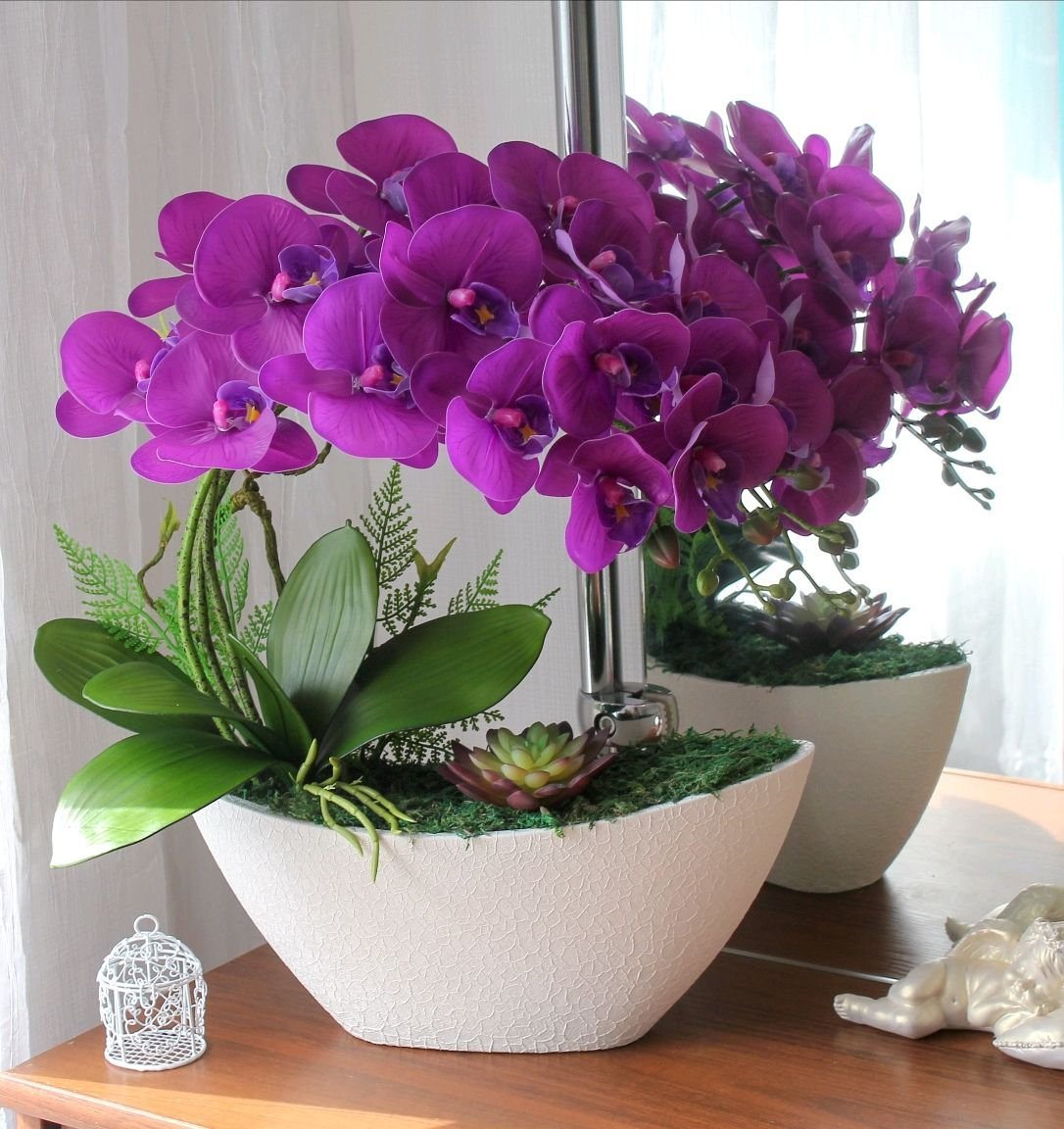 Орхидей купить интернет магазин почтой. Орхидея фаленопсис. Орхидея фаленопсис мини. Орхидея фаленопсис в горшке. Фаленопсис цветок комнатный.