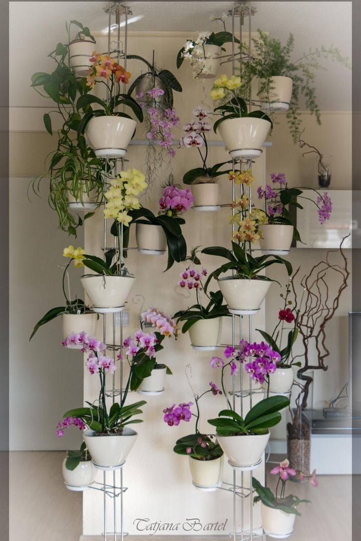 Цветы и растения в интерьере квартиры