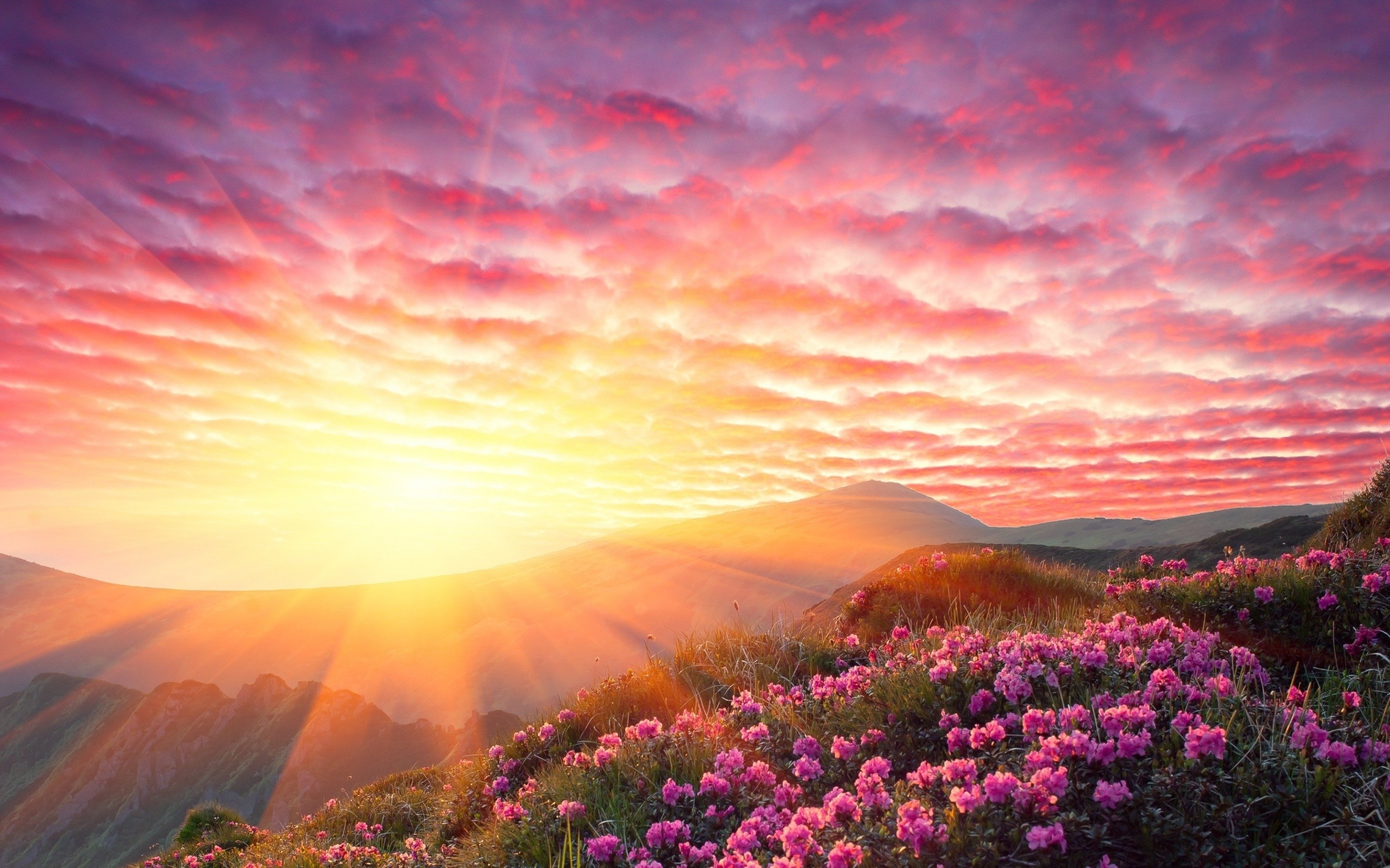 Гора розовое облако. Красивый рассвет. Красивый Восход. Рассвет в горах. Солнечный пейзаж.