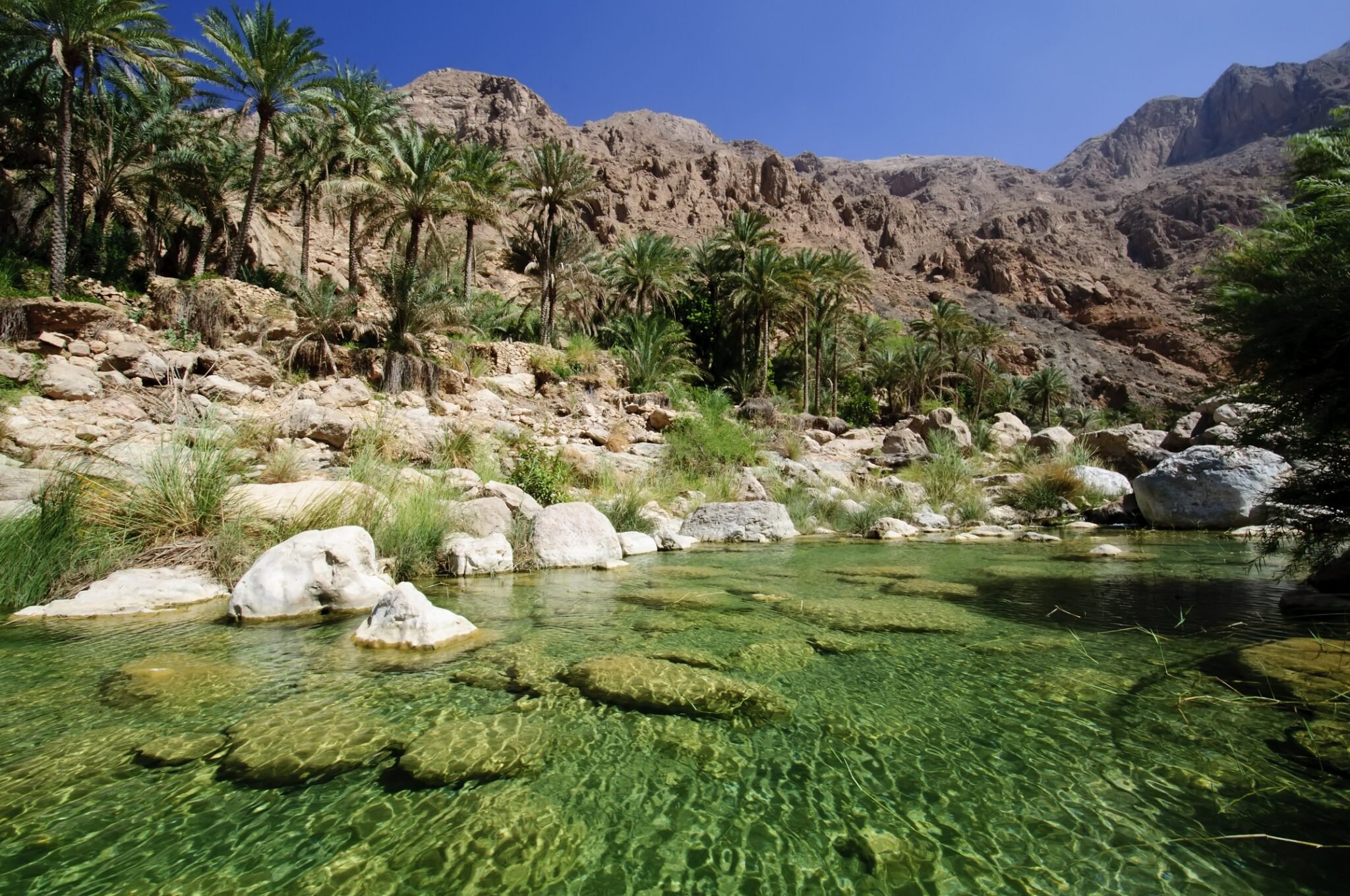 Река оазис. Оман Аравийский полуостров. Оазисы Саудовской Аравии. Оазис в пустыне Аравии. Оазис Оман.