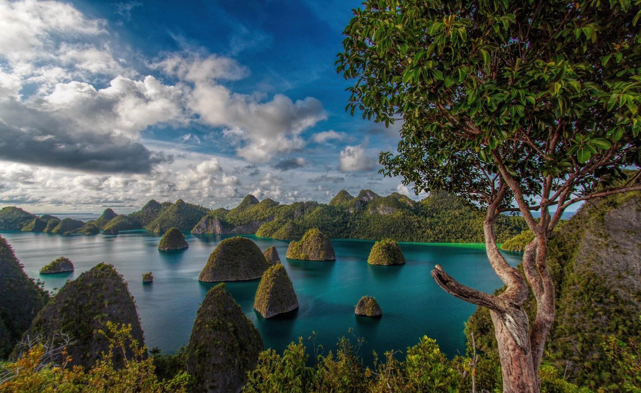 Экзотическая природа. Раджа Ампат Индонезия. Озеро Раджа Ампат Индонезия. Раджа Ампат Индонезия фото. Раджа Айленд Бали.