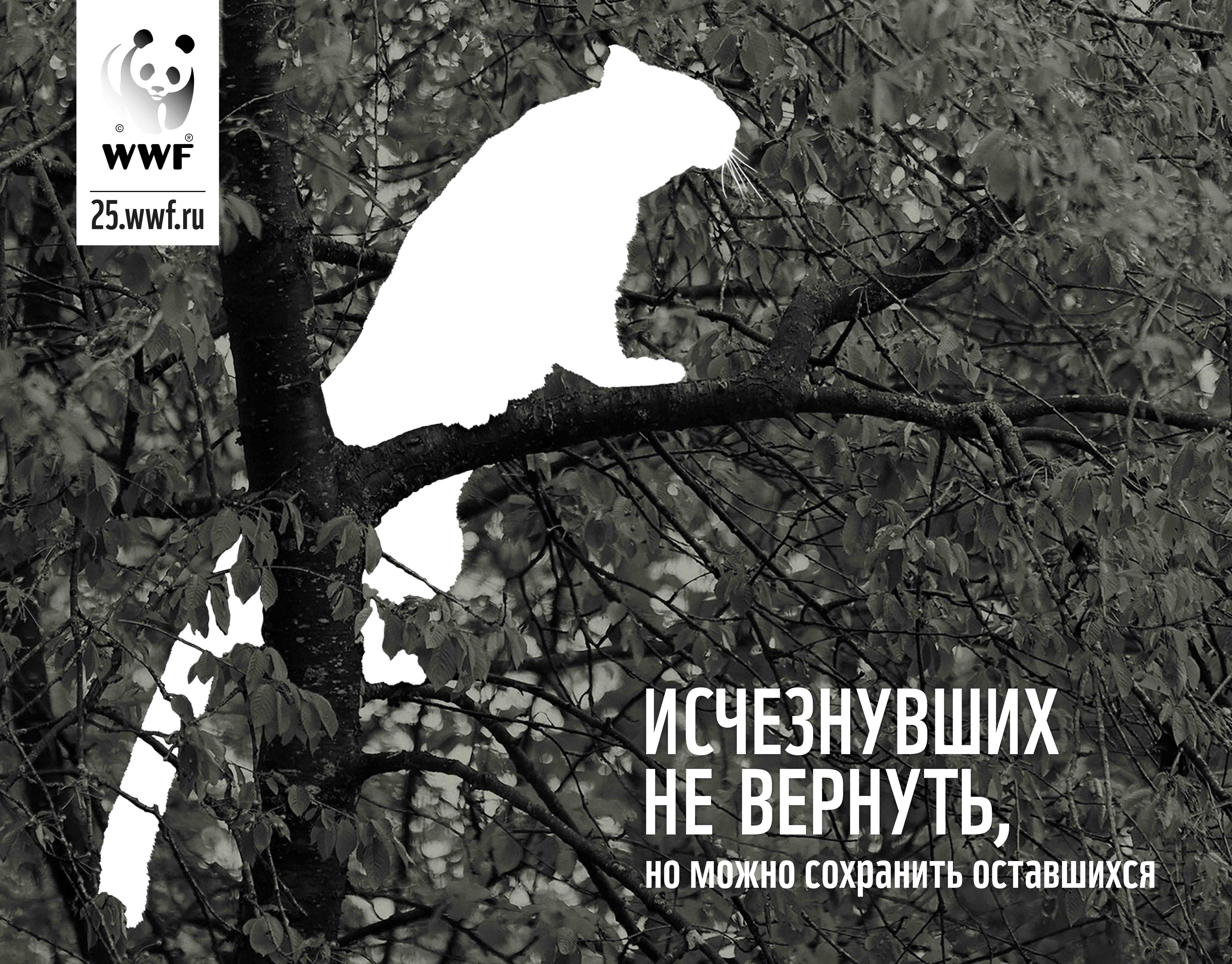 Слоган защита. Всемирный фонд дикой природы плакаты. Защита природы и животных. Слоган о защите животных. Социальный плакат защита животных.