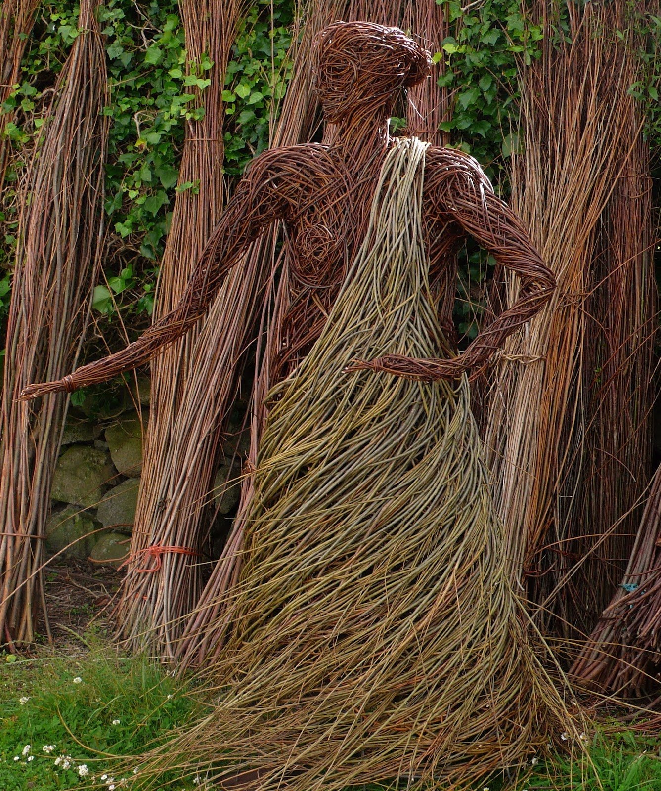 Ротанг дерево. Ива плетеная датские корни. Ива плакучая плетеная. Плетеное дерево из плакучей ивы. Арбоскульптура Ива.