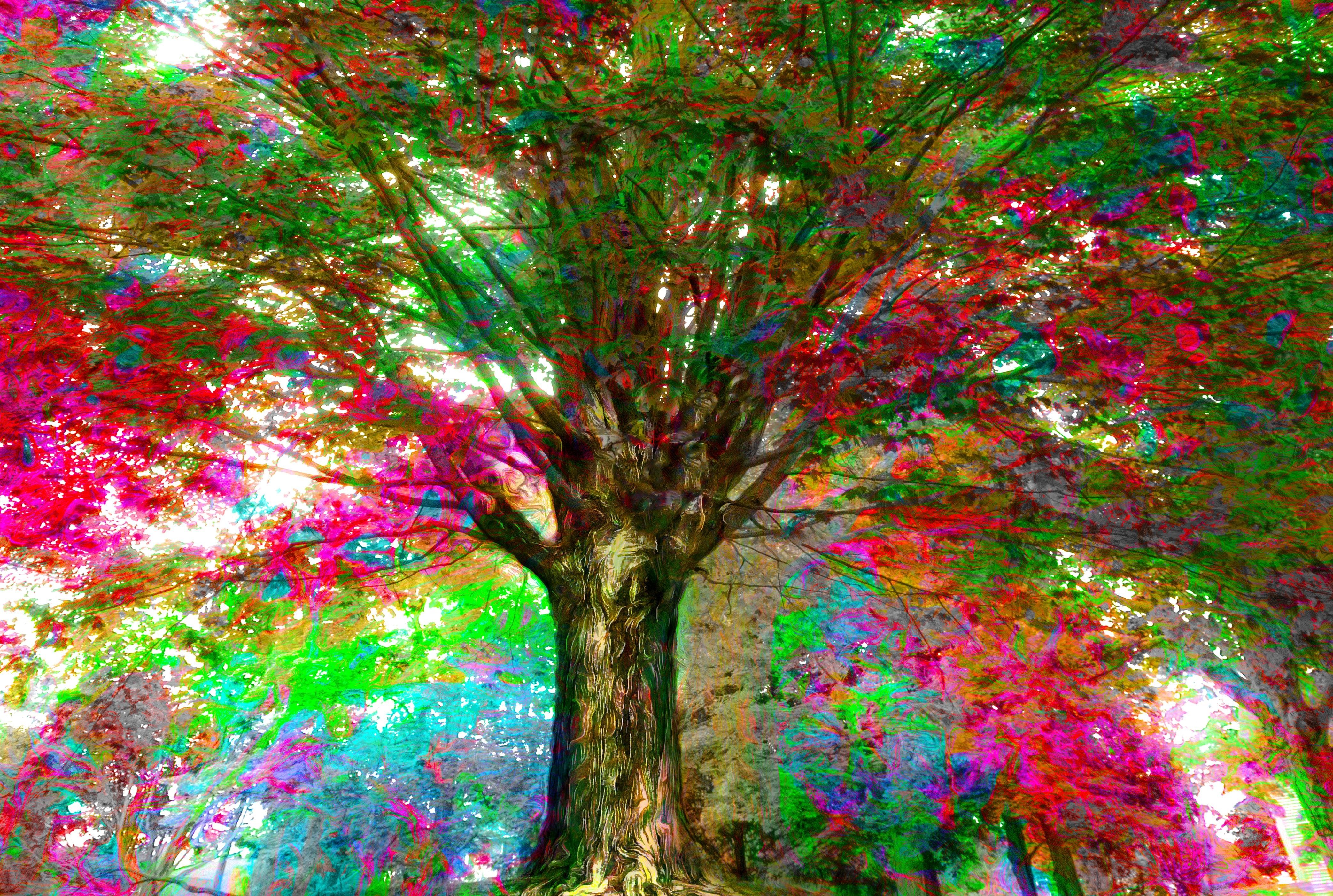 Flying tree. Разноцветное дерево. Сказочное дерево. Красивое дерево. Дерево с разноцветными листьями.