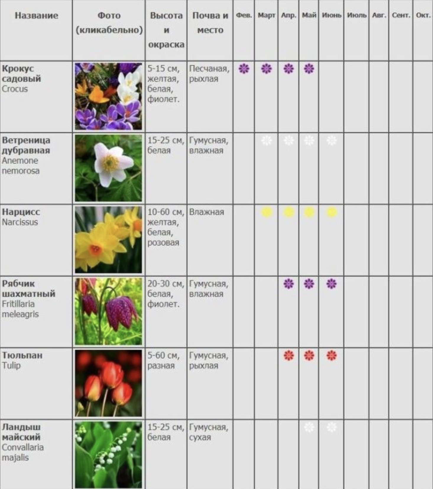 Когда в марте можно сажать рассаду цветов. Сроки цветения лилейников таблица. Таблица сроков цветения многолетников. Сроки цветения многолетников. Сроки цветения многолетников для клумб таблица.